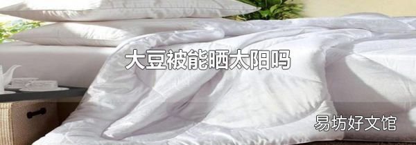 大豆被能晒太阳吗