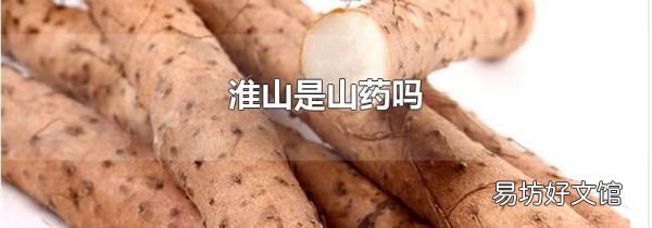 淮山是山药吗