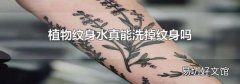 植物纹身水真能洗掉纹身吗