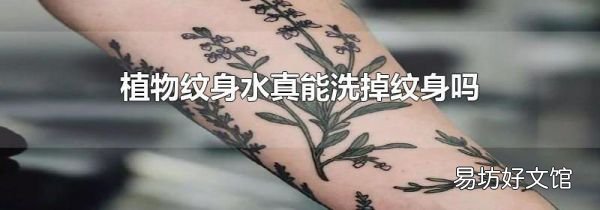 植物紋身水真能洗掉紋身嗎