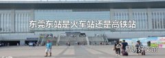 东莞东站是火车站还是高铁站
