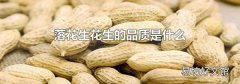 落花生花生的品质是什么