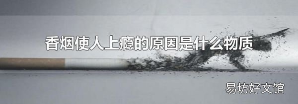 香煙使人上癮的原因是什么物質(zhì)