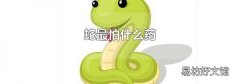 蛇最怕什么药