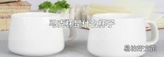 马克杯是什么杯子