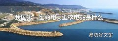 我国第一座商用大型核电站是什么
