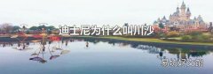 迪士尼为什么叫川沙