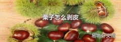 栗子怎么剥皮