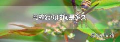 马蜂复仇时间是多久