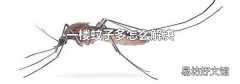 一楼蚊子多怎么解决