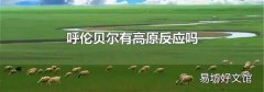 呼伦贝尔有高原反应吗