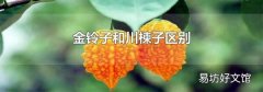 金铃子和川楝子区别