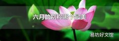 六月的别称哪个最美