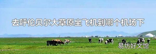 去呼伦贝尔大草原坐飞机到哪个机场下
