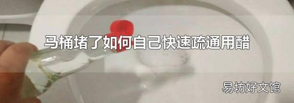 馬桶堵了如何自己快速疏通用醋