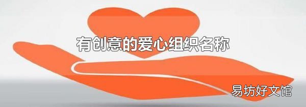 有创意的爱心组织名称