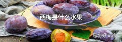 西梅是什么水果