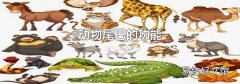 动物尾巴的功能