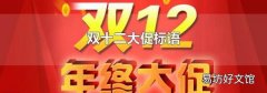 双十二大促标语
