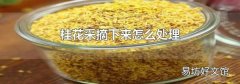 桂花采摘下来怎么处理