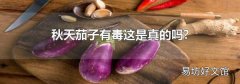 秋天茄子有毒这是真的吗?