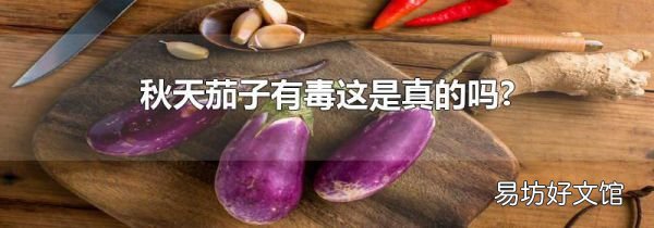 秋天茄子有毒這是真的嗎?