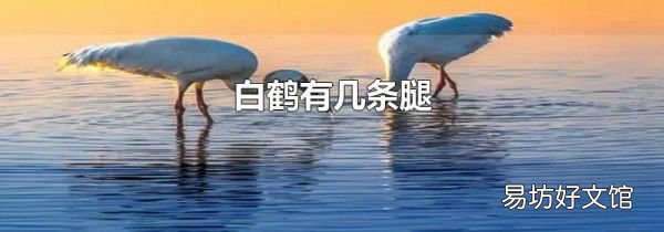 白鹤有几条腿