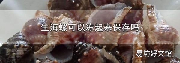 生海螺可以冻起来保存吗