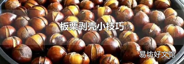 板栗剥壳小技巧