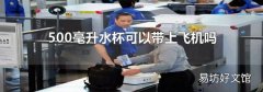 500毫升水杯可以带上飞机吗