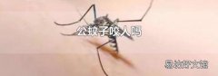 公蚊子咬人吗