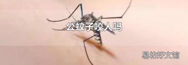 公蚊子咬人嗎