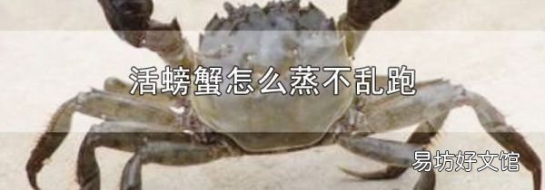 活螃蟹怎么蒸不乱跑
