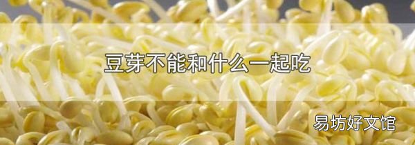 豆芽不能和什么一起吃