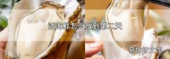 活海鲜怎么放到第二天