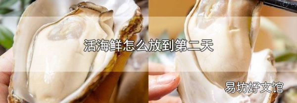 活海鲜怎么放到第二天