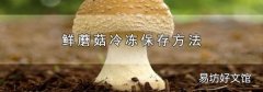 鲜蘑菇冷冻保存方法