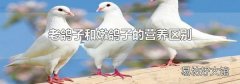 老鸽子和嫩鸽子的营养区别
