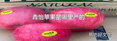 青怡苹果是哪里产的