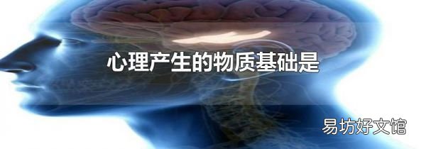 心理产生的物质基础是