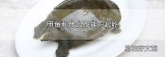 甲鱼和什么不能一起吃