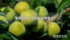 李子能带上飞机吗?能带多少?