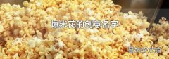 爆米花的创意名字