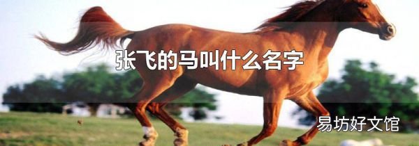 張飛的馬叫什么名字