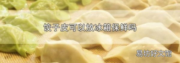 饺子皮可以放冰箱保鲜吗