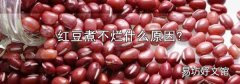 红豆煮不烂什么原因