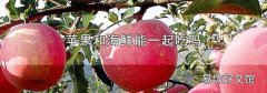 苹果和海鲜能一起吃吗