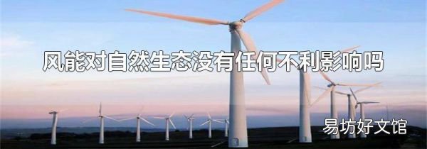 风能对自然生态没有任何不利影响吗
