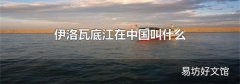 伊洛瓦底江在中国叫什么