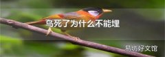 鸟死了为什么不能埋